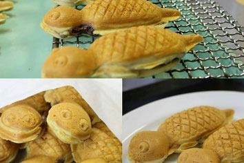つちのこ焼き つっちー＆のこりん ツチノコ ツチノコ焼き 通販 お取り寄せ ネット おいしい おやつ 菓子 たい焼き あんこ カスタードクリーム 東白川村 おすすめ お土産 テイクアウト ランチ 岐阜 つちのこフェスタ つちのこ館 買う ほうばずし 朴葉寿司 ほうば寿司 食べる プレゼント 記念日