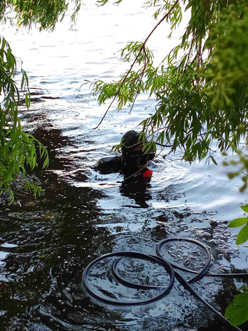 Ehering in der Alster finden? Ringfahnder!