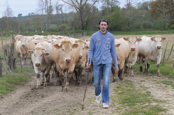 Aurélien et ses Blondes d'Aquitaine - Ferme Gardelly - 40500 Fargues