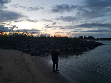 Abendstimmung am Fluß. Benny auf Zander-Jagd