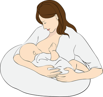 Réseau Périnatal de Nouvelle-Calédonie - Position d'allaitement