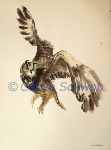 Owl, watercolor painting on paper, 22 inches x 30 inches, 2022