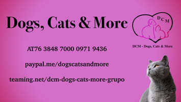 dcm-dogscats&more