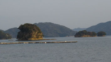 世宝丸晴気