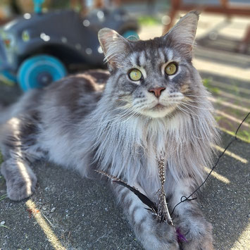 Pepe im Garten