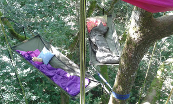 Les Tas De Nature, bivouac, des hamacs dans les arbres,  Pau, insolite