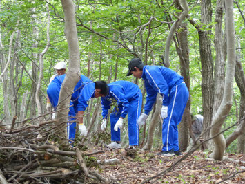 西浅井中の生徒と森をそうじ