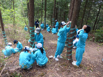 岐阜県の中学生によるしかよけテープまき