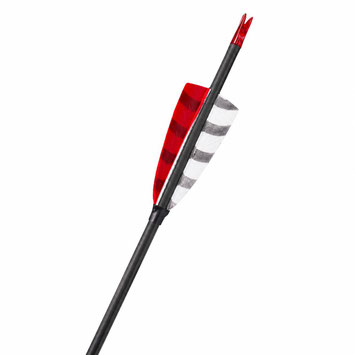 Bandit Carbonpfeil rot weiß Penthalon