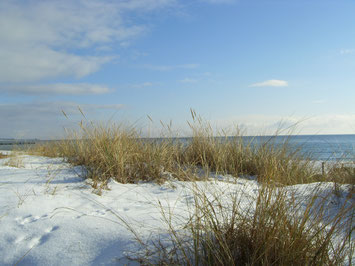 Fehmarn im Winter Quelle Tourismus-Service Fehmarn