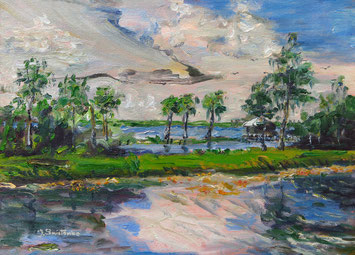 Stormy Sky/Blue Cypress Lake/, Oil, 9x12, $ 300