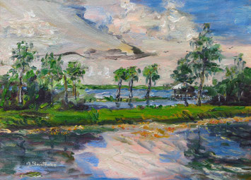 Blue Cypress Lake, Oil, 9x12, $ 300
