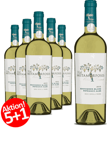 6-er Weinpaket | Viile Metamorfosis Feteasca Alba & Sauvignon Blanc 2023 | 5 +1 GRATISAKTION