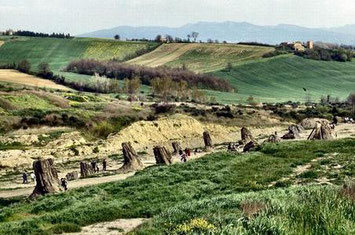 Soggiorno e vacanza presso Il Maremmano - Azienda agrituristica e visita ad Avigliano Umbro  (Terni - Umbria)   e alla FORESTA FOSSILE di DUNAROBBA 