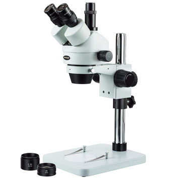 Un microscopio trinoculare adatto allo scopo, come AmScope SM-1TSZ-V203.