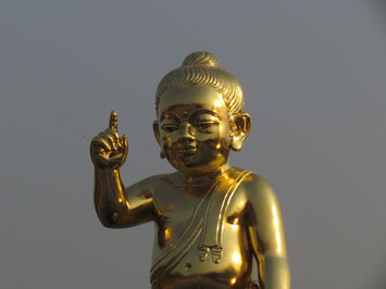Baby-Buddha