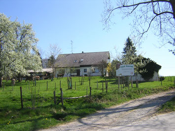 Hof Ganal, Schnapsbrennerei Bodensee, Hofladen Schnaps, Obstler