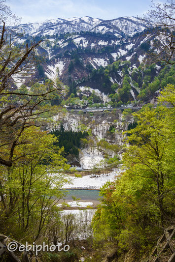 西川町