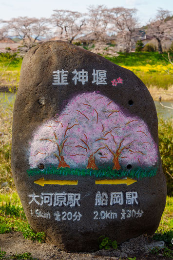 韮神堰