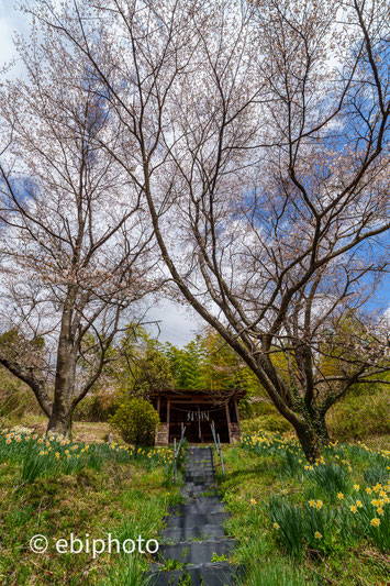 羽山神社