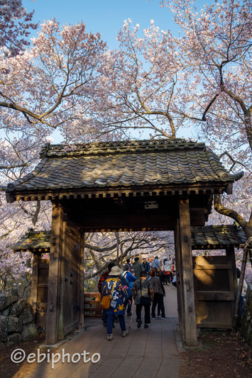 高遠城址公園