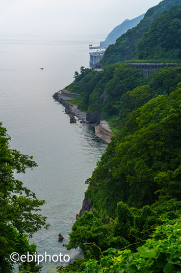 親不知