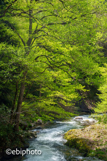 北塩原村