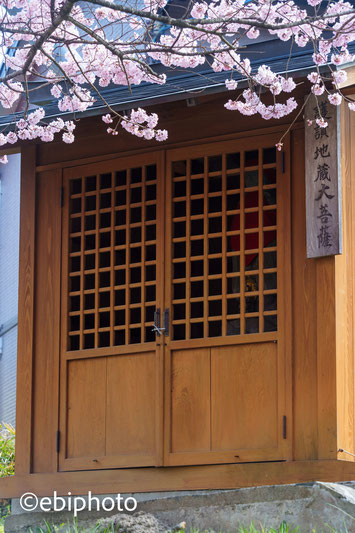 三春町の桜