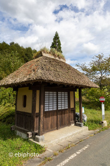 坂の下のバス停