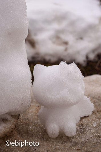 雪猫
