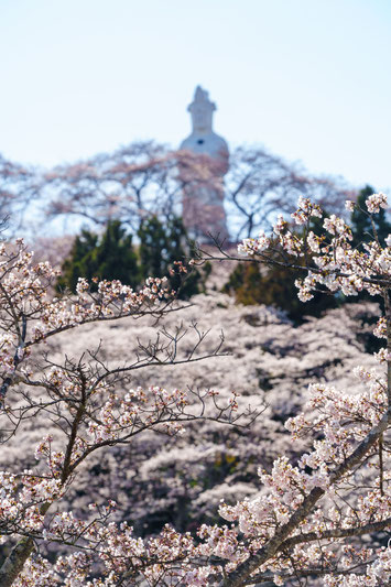 船岡城址公園