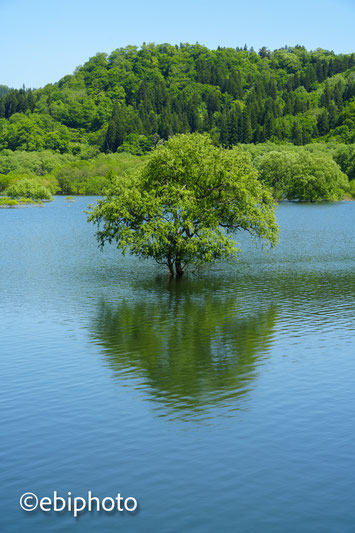白川湖