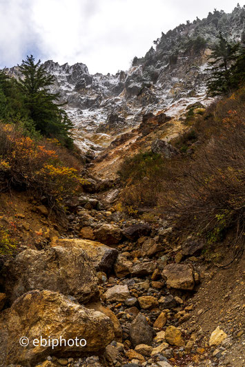 雪と紅葉