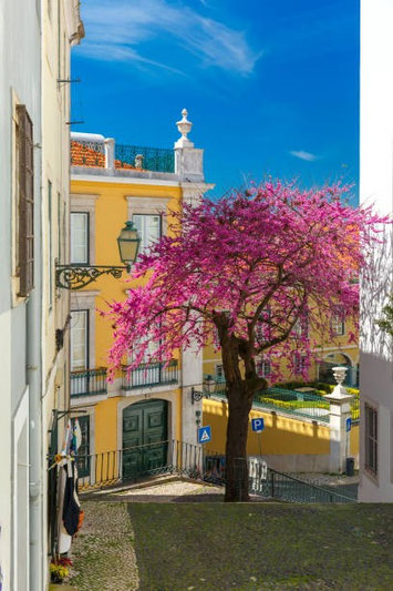 One Door... One Story. Lisbon Jewish Tours with Patricia - kosherinlisbon.com
