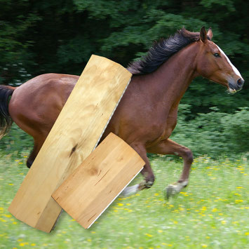 Reitsport Heiniger - Blogartikel Pferdebürste Ross-Sagi