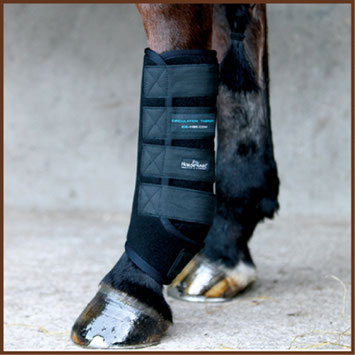 Reitsport Heiniger - Blogartikel Ice-Vibe-Boots