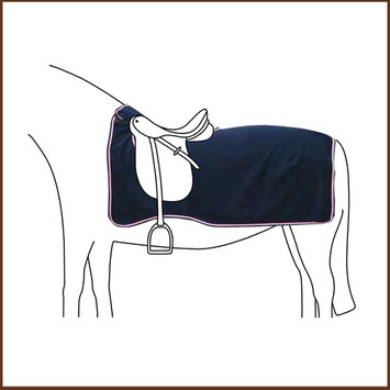 Druckatelier46 - Linkfoto Ausreitdecke Equest Fly Premium Active