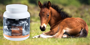 Reitsport Heiniger - Hufpflege Winter-Oel-Gel Leovet