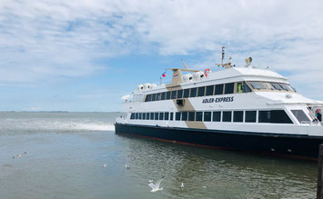 Wattenmeer, Inselwelten, adler, Fähre, Nordstrand, Pellworm, Amrum, Föhr, Hallig Hooke, Wattwanderung, Nordsee, Westküste, Friedrichstadt, Dagebüll