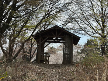 桜咲く 富士見台園地