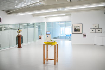 Exposition Vivant ! à la MÉCA du 3 juillet au 19 octobre 2025 (Photo : Antoine Fouchard)