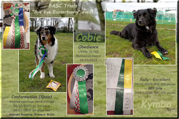 Cobie startete Obedience & Show und Kymba im Rally