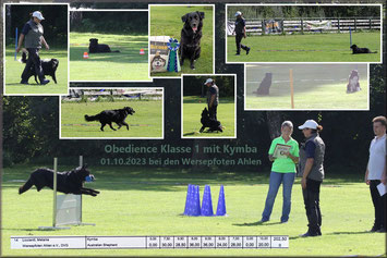 Obedience AHC Beckum, mit Cobie und Kymba