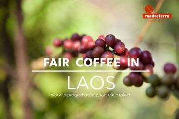 progetto Laos madreterra caffe