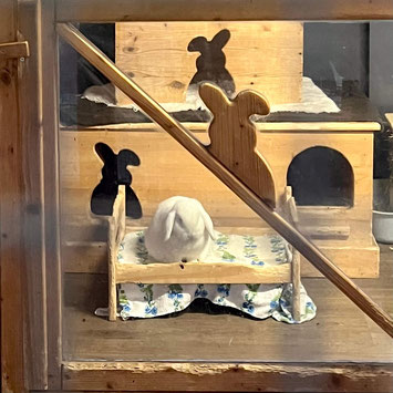 Kaninchen adoptiert aus Tierheim