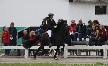 OSI Lünzen 2015, Hanna und Alfur von Faxabol