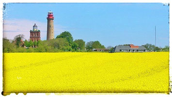 Von April bis Mai stehen die Felder am Kap Arkona in voller Blüte