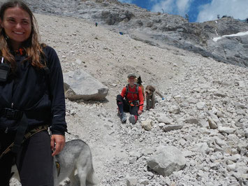 Zugspitz Dogtrekking Dogtrekking Dogtrekking Dogtrekking Elbsandstein-Dogtrekking ESDT Harz-Dogtrekking