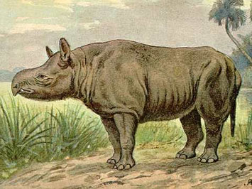 Dessin de Heinrich Harder