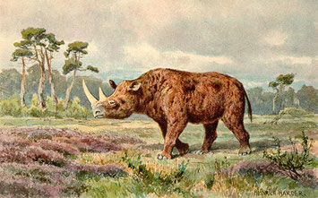 Dessin de Heinrich Harder